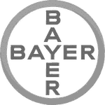 bayer-brazuca